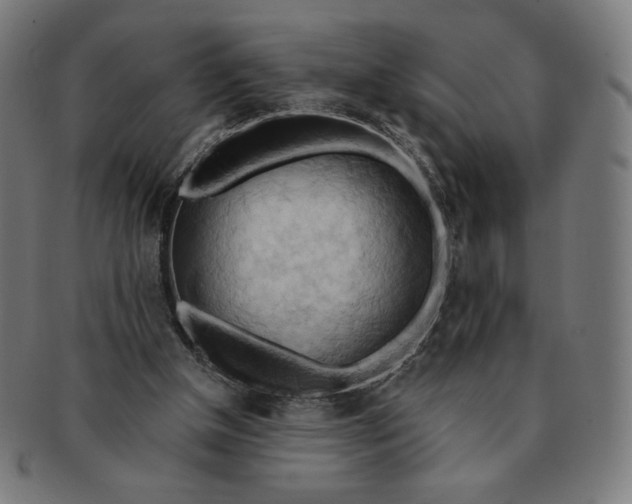 X0000090980154200708241411