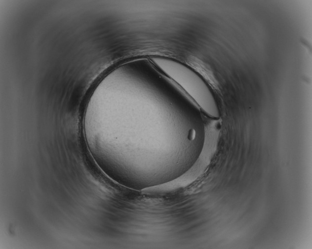 X0000090980156200708241411