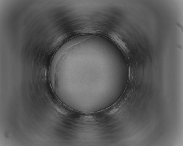 X0000090980157200708241411