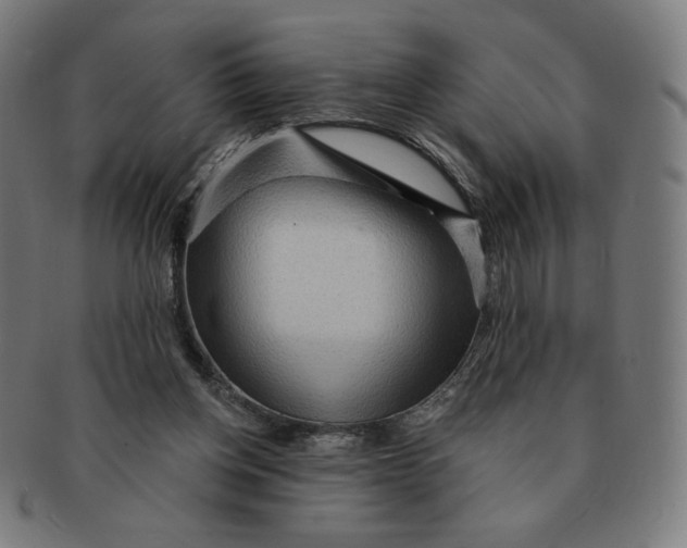 X0000090980158200708241411