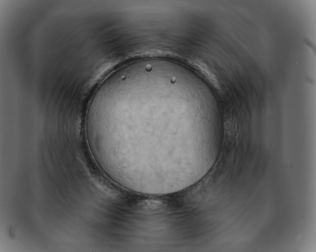 X0000090980159200708241411