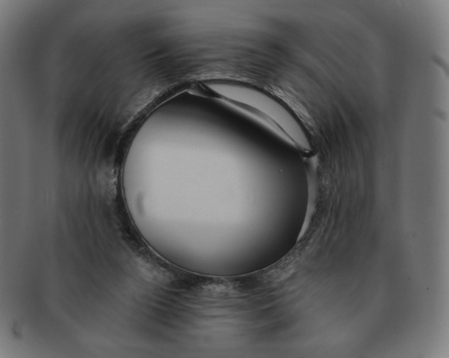 X0000090980160200708241411