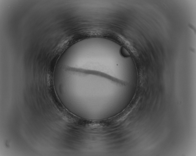 X0000090980161200708241411