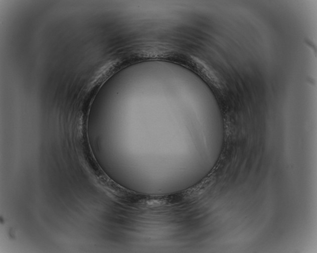 X0000090980163200708241411