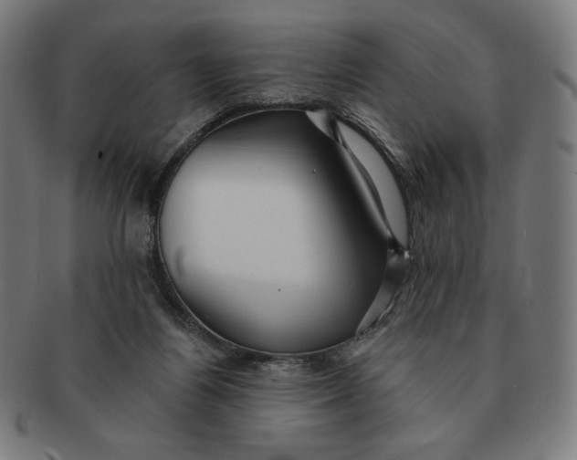 X0000090980164200708241411