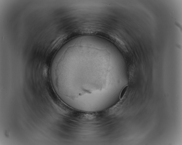 X0000090980166200708241411