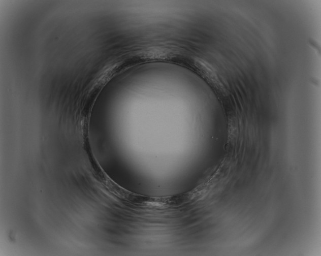 X0000090980167200708241411