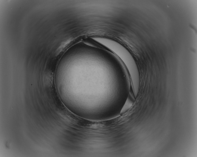 X0000090980168200708241411