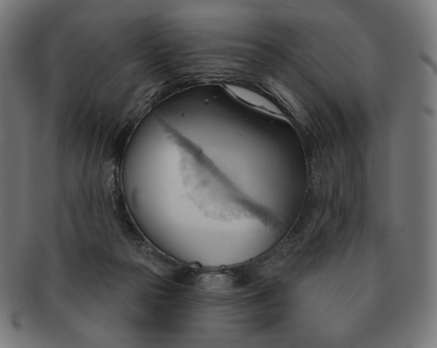X0000090980169200708241411