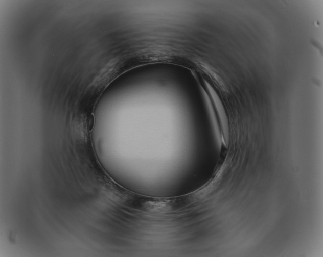 X0000090980170200708241411