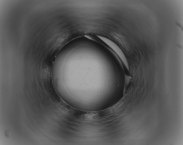X0000090980172200708241411