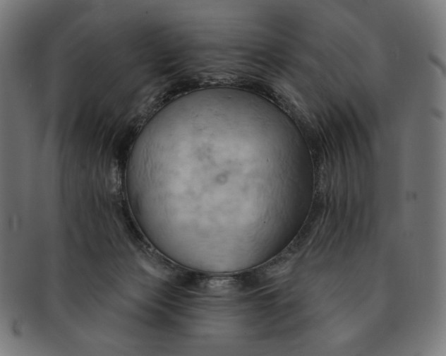 X0000090980173200708241411