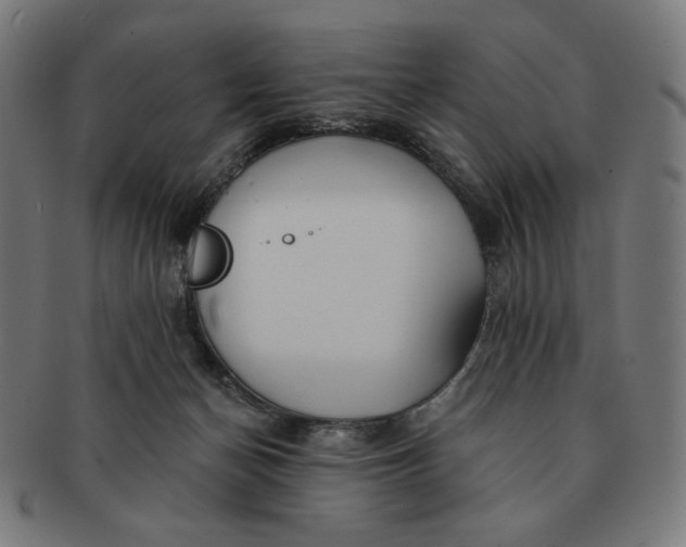X0000090980174200708241411
