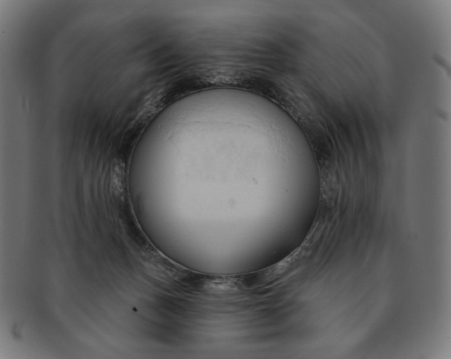 X0000090980175200708241411