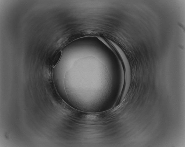 X0000090980176200708241411