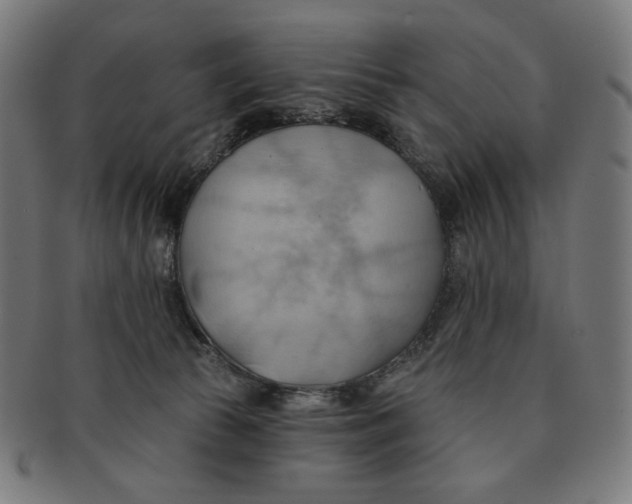 X0000090980177200708241411