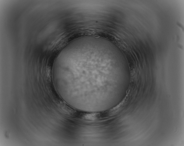 X0000090980178200708241411