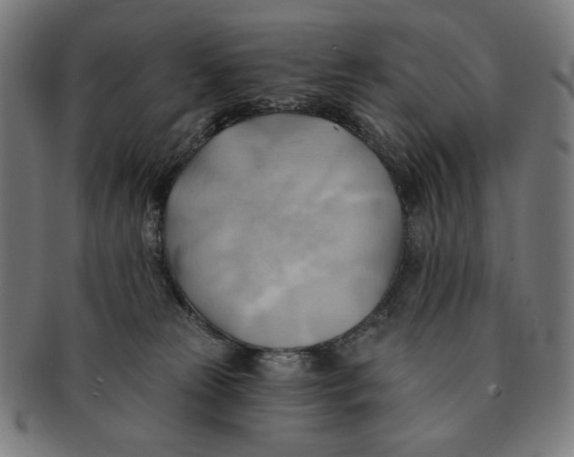 X0000090980181200708241411