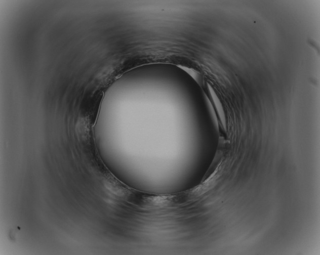 X0000090980184200708241411