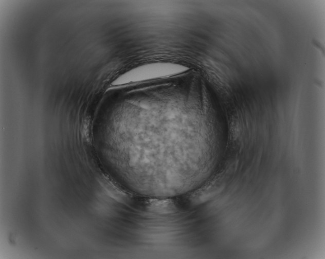 X0000090980185200708241411