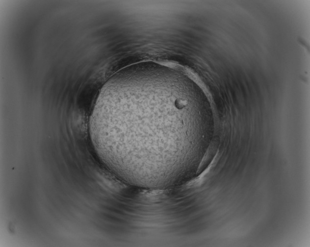X0000090980186200708241411
