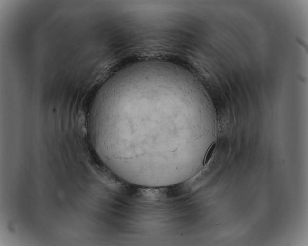 X0000090980187200708241411