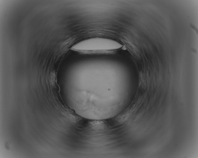 X0000090980189200708241411