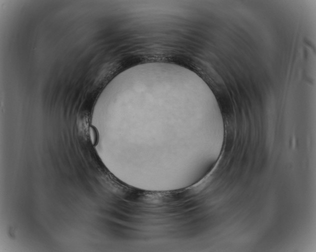 X0000090980190200708241411