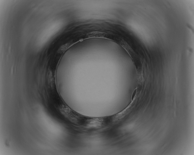 X0000090980191200708241411