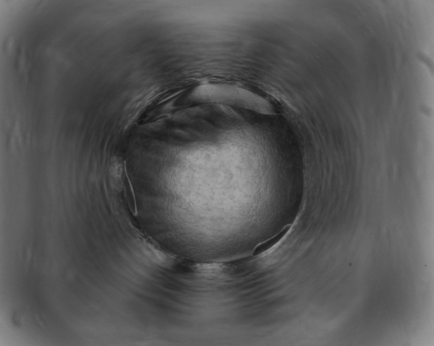 X0000090980192200708241411