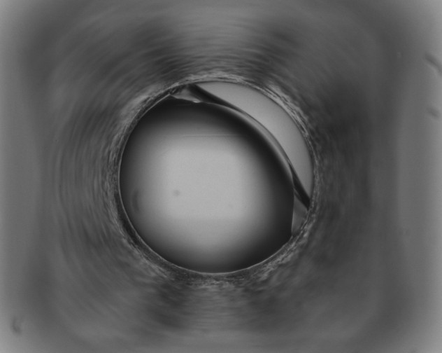 X0000090980193200708241411