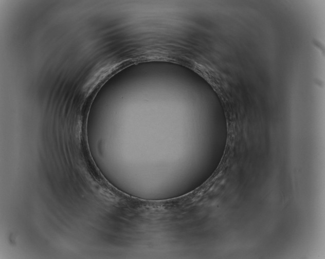 X0000090980194200708241411