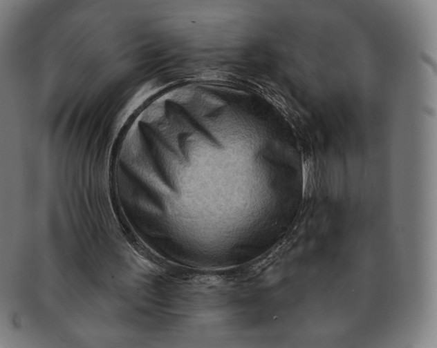 X0000090980195200708241411