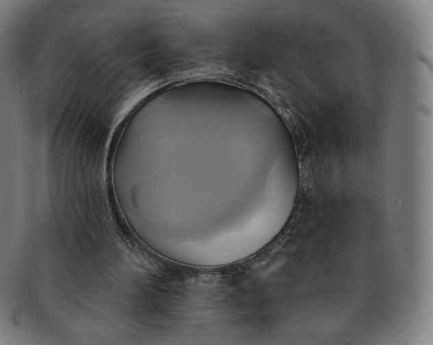 X0000090980196200708241411