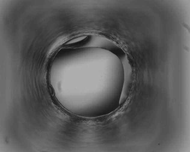 X0000090980197200708241411