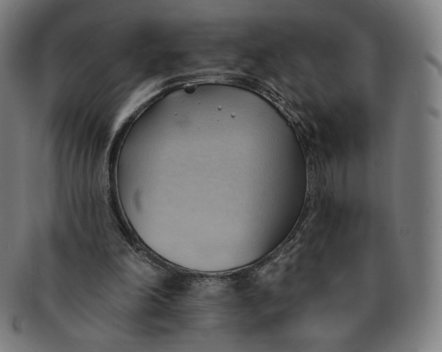X0000090980198200708241411