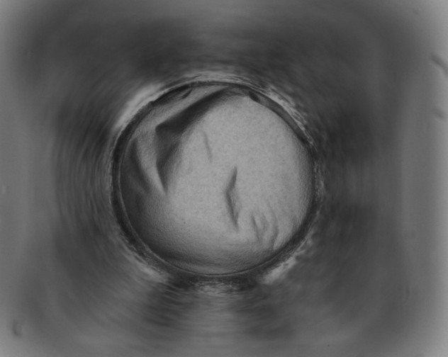 X0000090980199200708241410