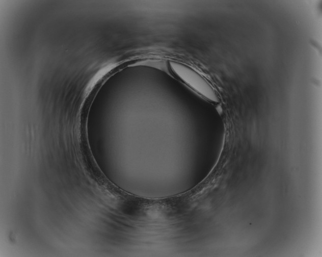 X0000090980200200708241410