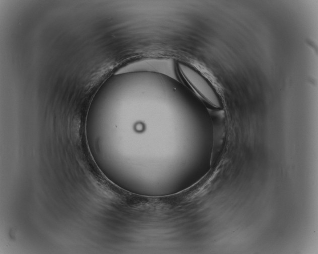 X0000090980201200708241410