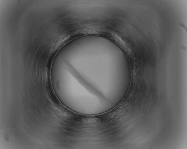 X0000090980202200708241410