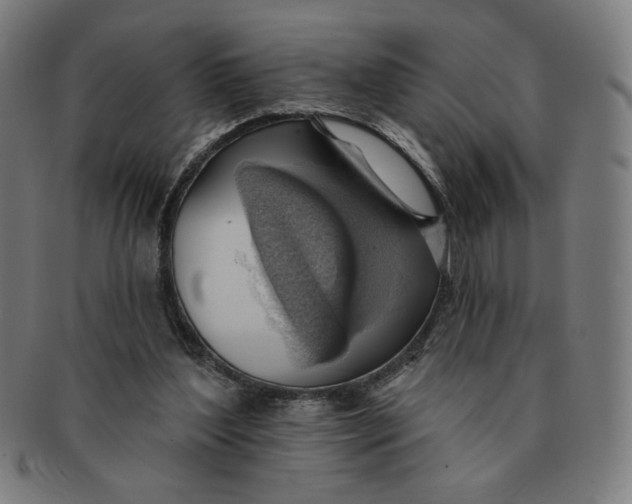 X0000090980204200708241410