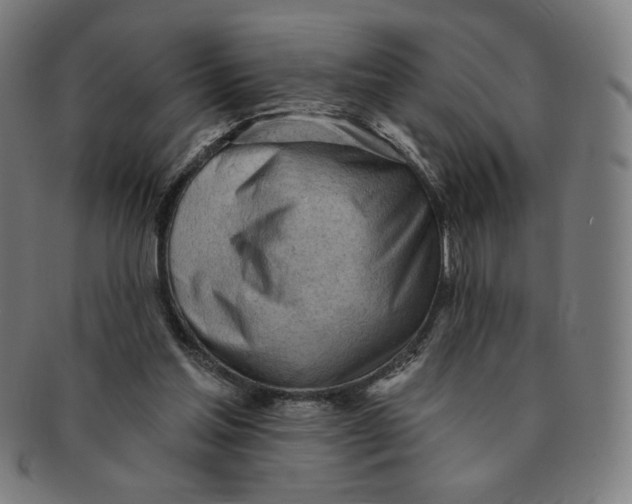 X0000090980205200708241410