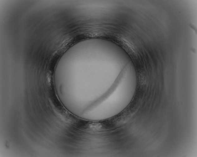 X0000090980214200708241410