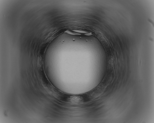 X0000090980218200708241410