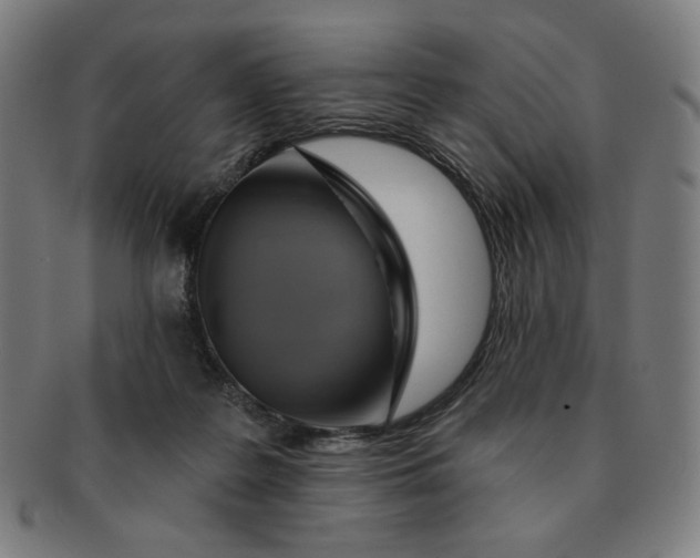 X0000090980219200708241410