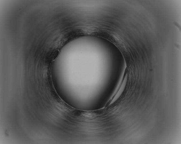 X0000090980221200708241410