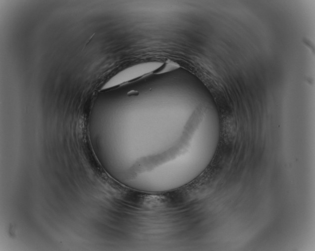 X0000090980222200708241410