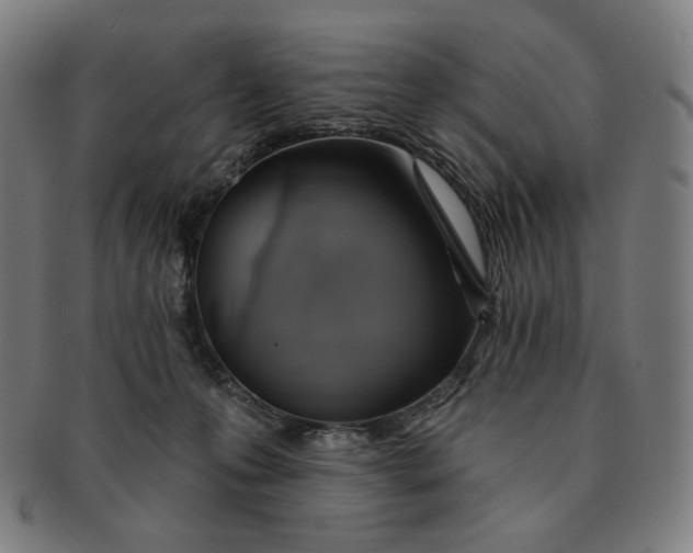 X0000090980223200708241410