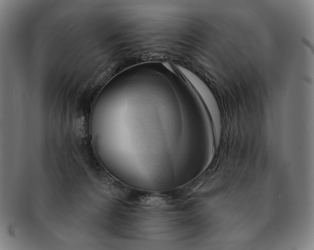 X0000090980224200708241410