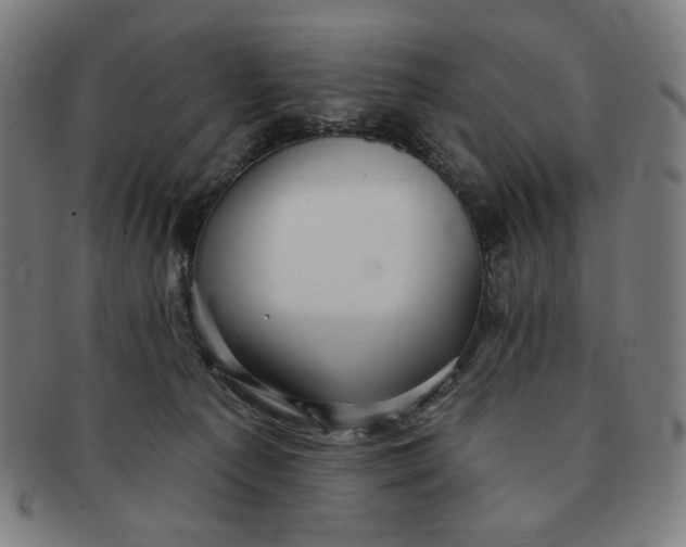 X0000090980225200708241410